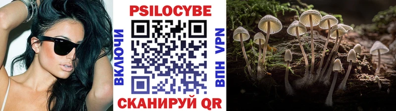 kraken зеркало  наркотики  Питкяранта  Псилоцибиновые грибы мицелий 